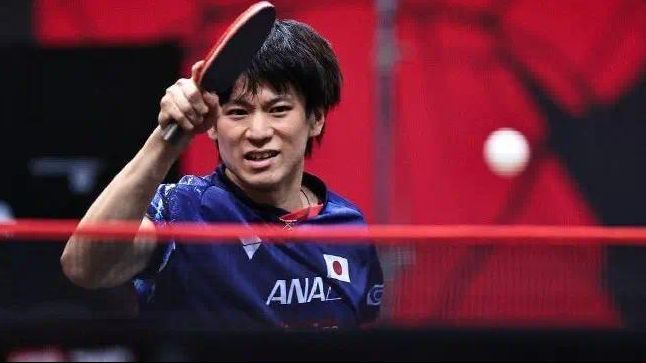 本文将着眼
